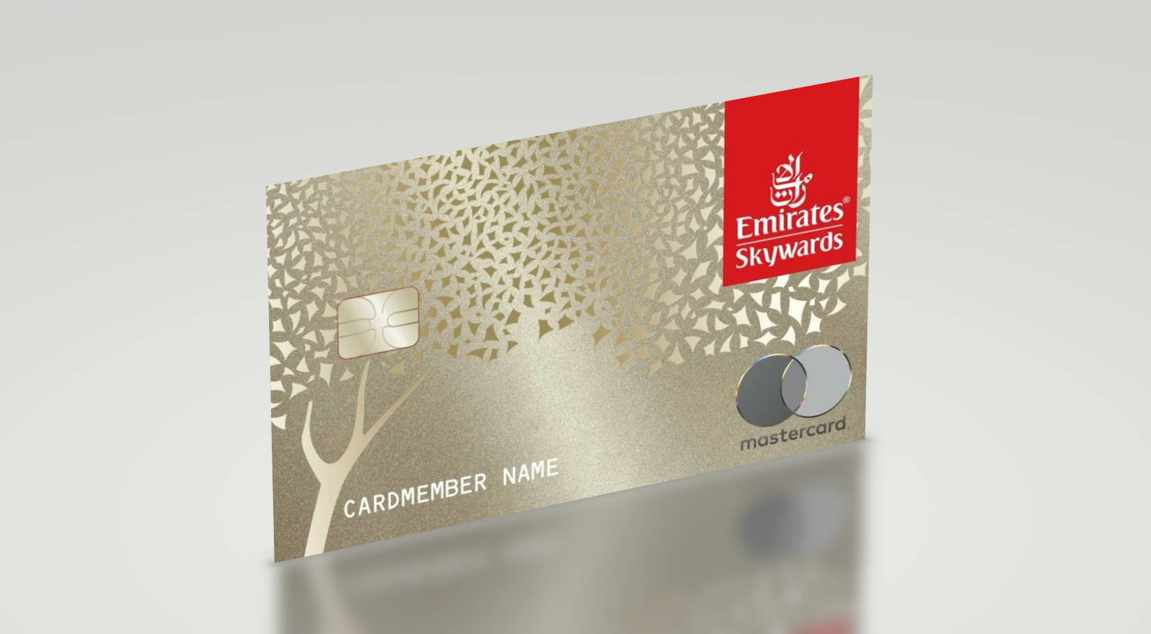 Apply for Emirates Skywards Premium World Elite Mastercard Credit Card Tips